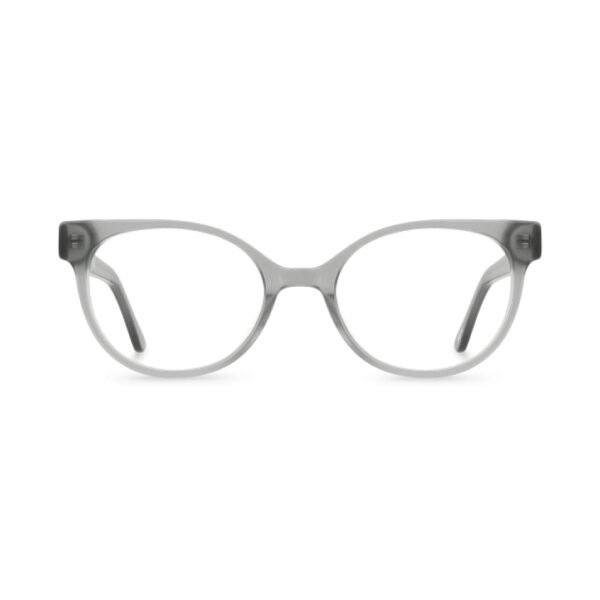Fashion eye glasses